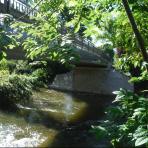 Levée de réserves